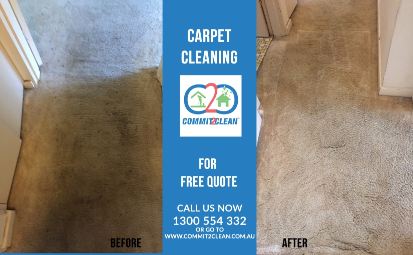 Why is regular carpet cleaning necessary?